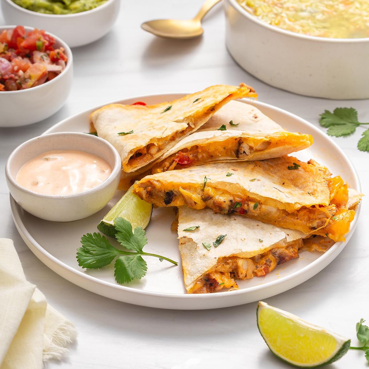 Chicken Quesadilla with Confetti Rice